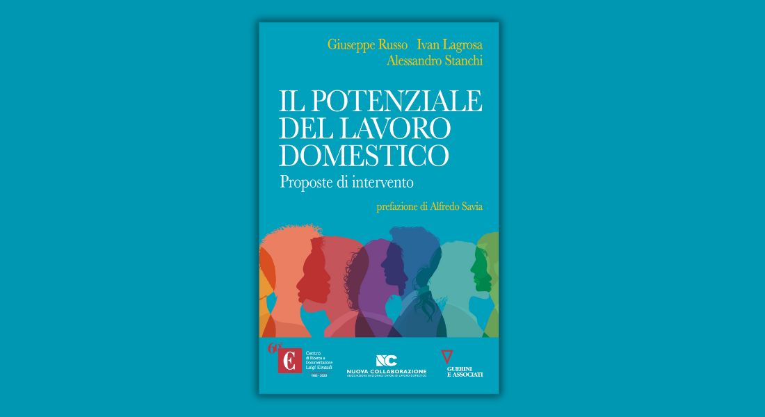 The Potential of Domestic Work: a new Welfare model